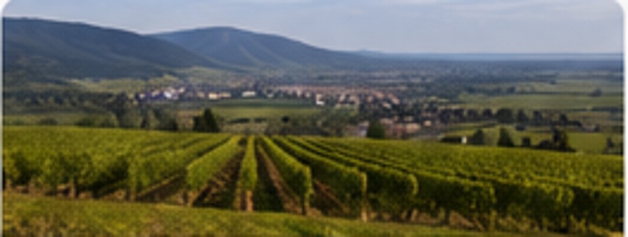 Route des Vins L&K Taxi Strasbourg